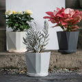 New style middle size portable indoor outdoor pastoral flower pots plastic succulents basin reusable flower planter plant pots